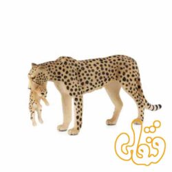 چیتا ماده با بچه Female Cheetah with Cub 387167