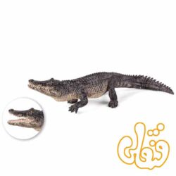 تمساح Alligator 387168