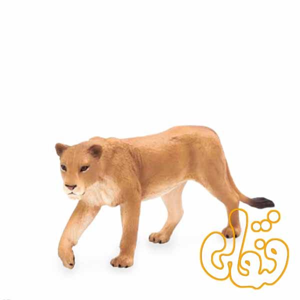 شیر ماده Lioness 387175