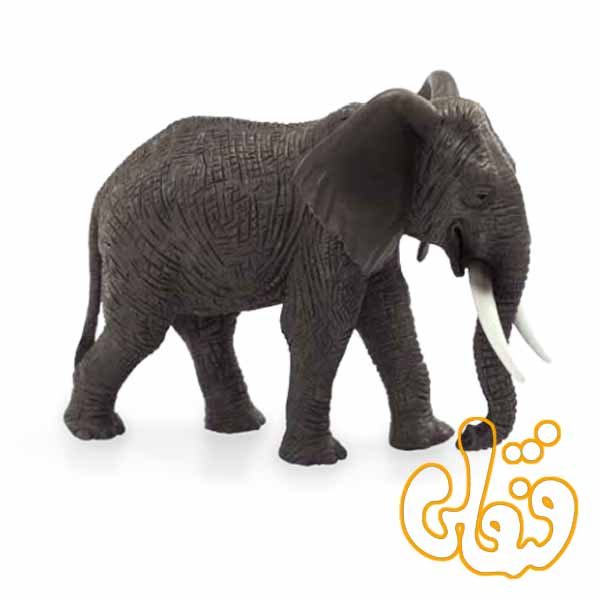 فیل آفریقایی African Elephant 387189