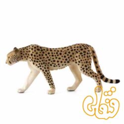 چیتا نر Cheetah Male 387197