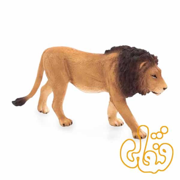 شیر نر Male Lion 387204