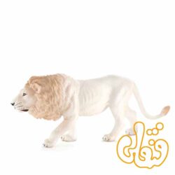 شیر نر سفید White Male Lion 387206