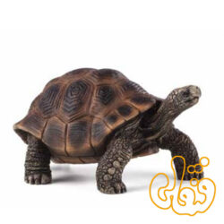لاک پشت غول پیکر giant turtle 387259