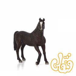 اسب شاهزاده عرب Arabian Stallion 387069