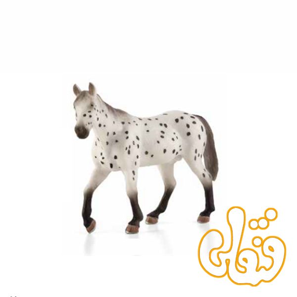 اسب شاهزاده اپالوسا Appaloosa Stallion 387108