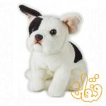 بولداگ فرانسوی 742291