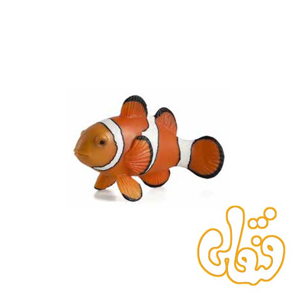 دلقک ماهی Clown Fish 387090