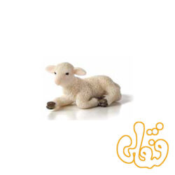 بره نشسته Lamb Lying Down 387099