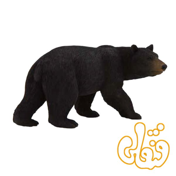 خرس سیاه آمریکایی American Black Bear 387112