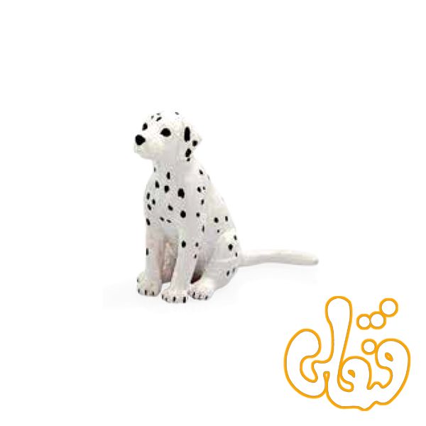 توله سگ دالماسی Dalmatian Puppy 387249