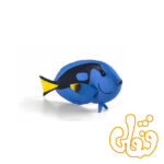 ماهی آبی تانگ Blue Tang Fish 387269