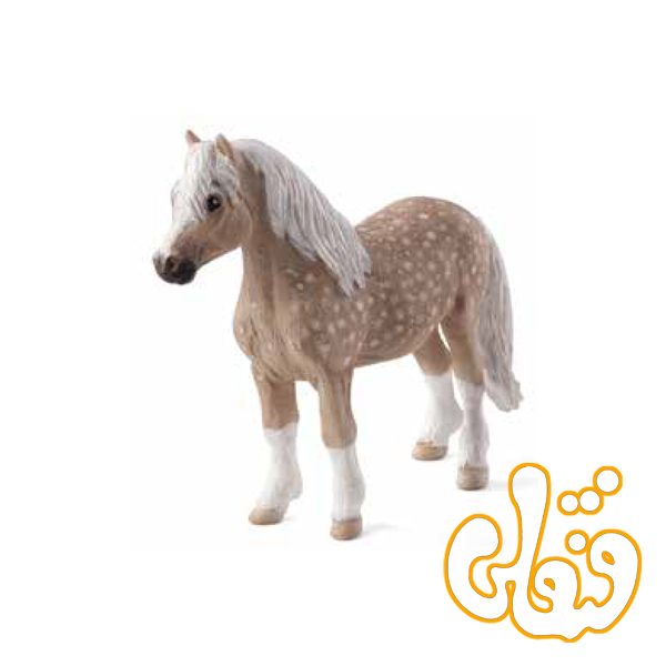 کره اسب ولز Welsh Pony 387282