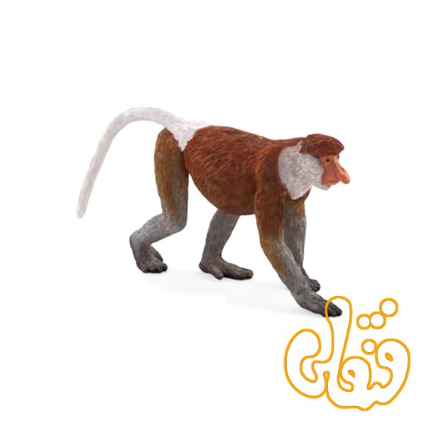 میمون خرطوم دار Proboscis Monkey 387176