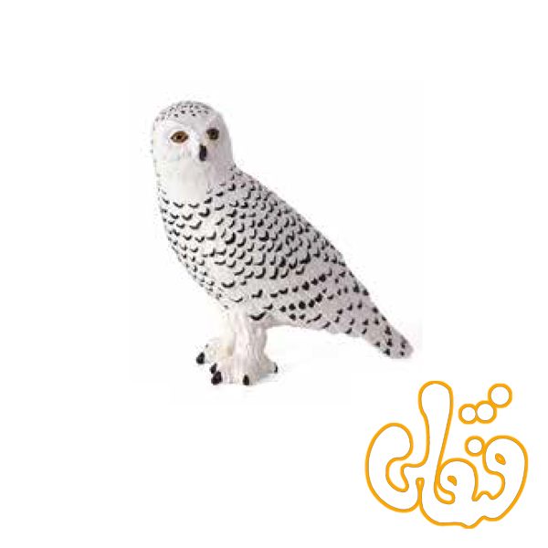 جغد برفی Snowy Owl 387201