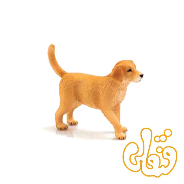 توله سگ زنده یاب طلایی Golden Retriever Puppy 387205