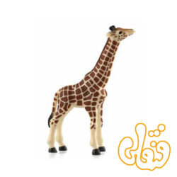گوساله زرافه Giraffe Calf 387007