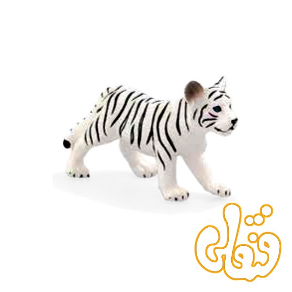 توله ببر سفید ایستاده White Tiger Cub Standing 387014