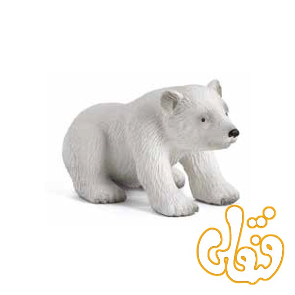 توله خرس قطبی نشسته Polar Bear Cub Sitting 387021