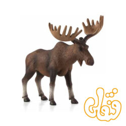 گوزن اروپای شمالی European Elk Moose 387023