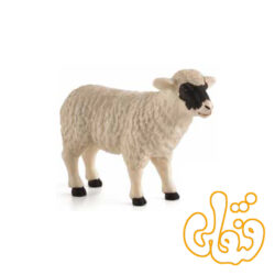 گوسفند صورت سیاه ماده Black Faced Sheep ewe 387058
