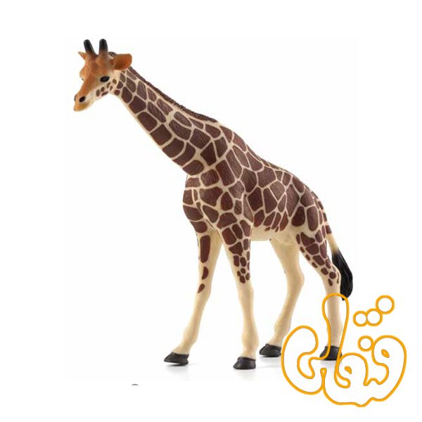 زرافه Giraffe 387006