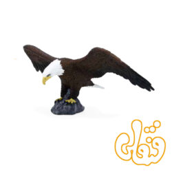 عقاب طاس آمریکایی American Bald Eagle 387027