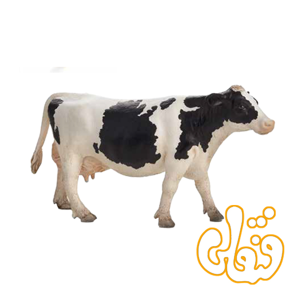 گاو شیرده سفید و سیاه هلشتاین Holstein Cow 387062