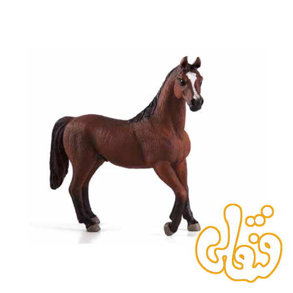 اسب نر فندقی عرب Arabian Stallion Chestnut 387084