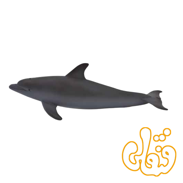 دلفین پوزه دار Bottlenose Dolphin 387118