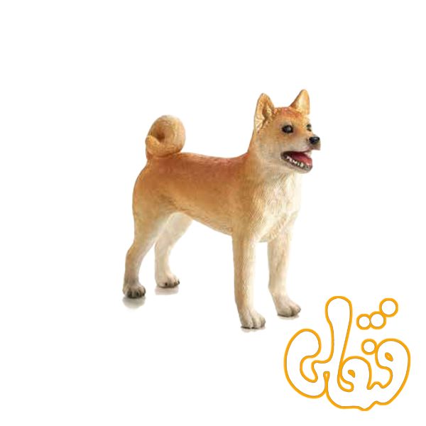 سگ شیبا اینو Shiba Inu 387140