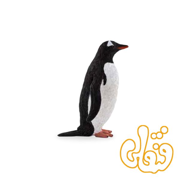 پنگوئن جنتو Gentoo Penguin 387184