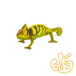 آفتاب پرست Chameleon 387129