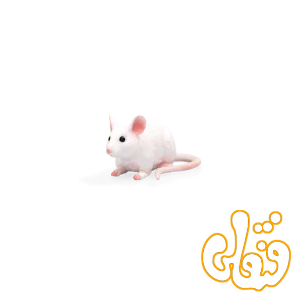 موش Mouse 387235