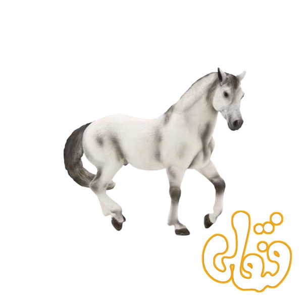 اسب آندلسی طوسی Andalusian Grey 387149