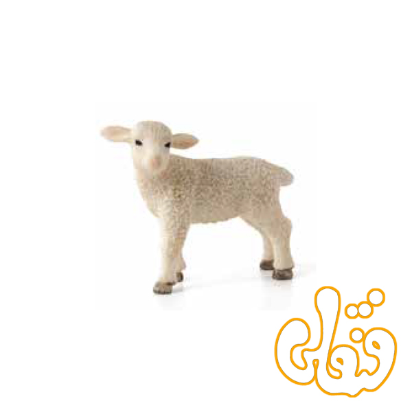 بره ایستاده Lamb Standing 387098