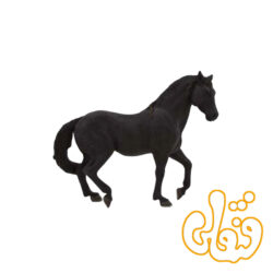 اسب اندلسی سیاه Andalusian Black 387109