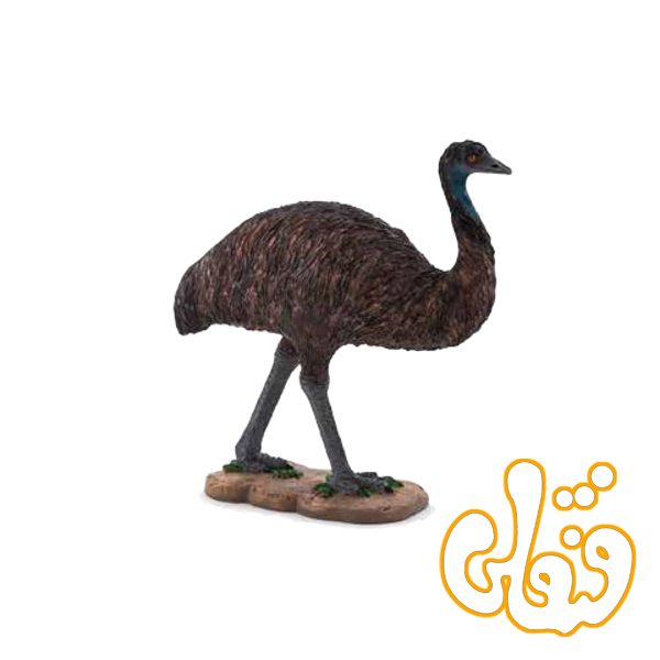 شتر مرغ استرالیایی Emu 387163