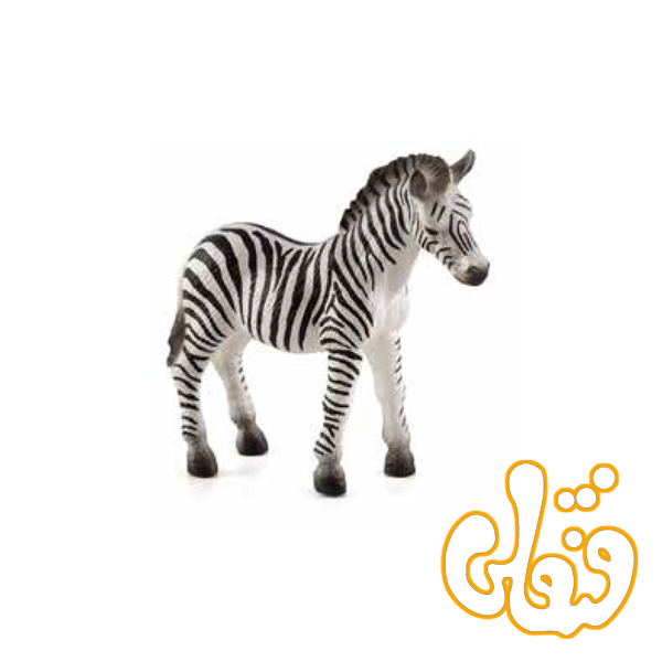 بچه گورخر Zebra Calf 387016