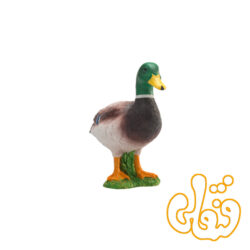 اردک وحشی Mallard Duck 387127
