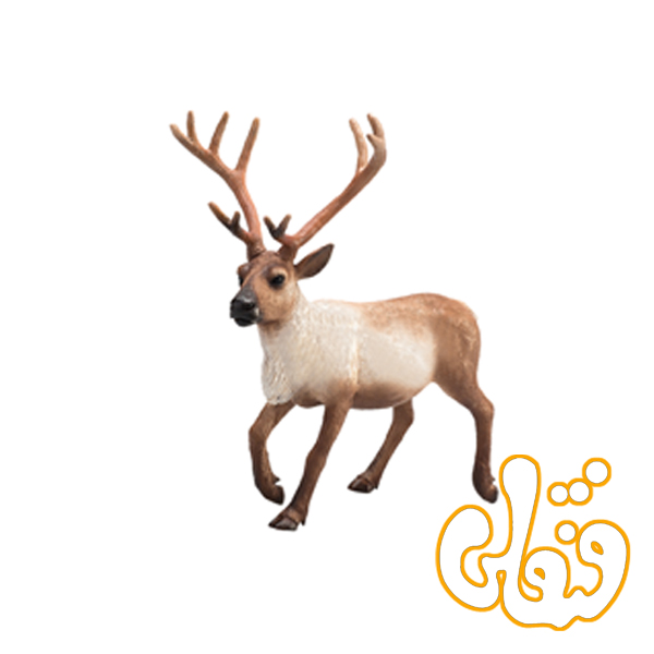 گوزن شمالی Reindeer 387186