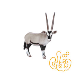 غزال بزرگ آفریقا Oryx 387242