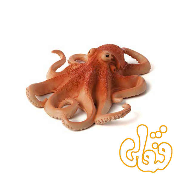 اختاپوس Octopus 387275