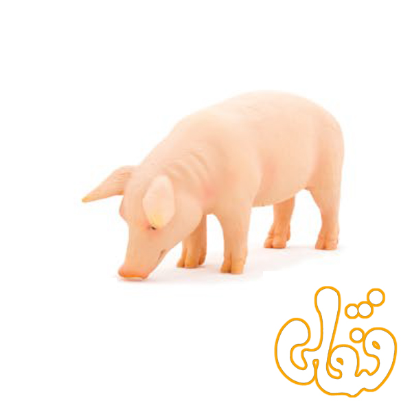 خوک نر Pig Boar 387080
