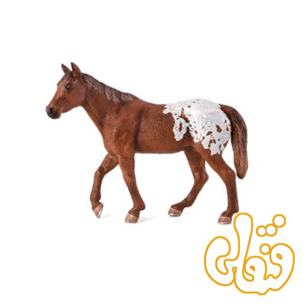 اسب اپولوسا شاه بلوطی Appaloosa Stallion Chestnut Blanket 387150