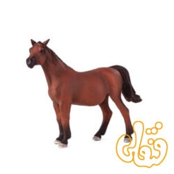 اسب مادیان عربی Arabian Mare In Foal 387194