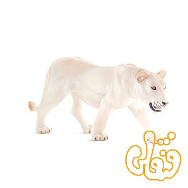 شیر سفید ماده White Lioness 387207