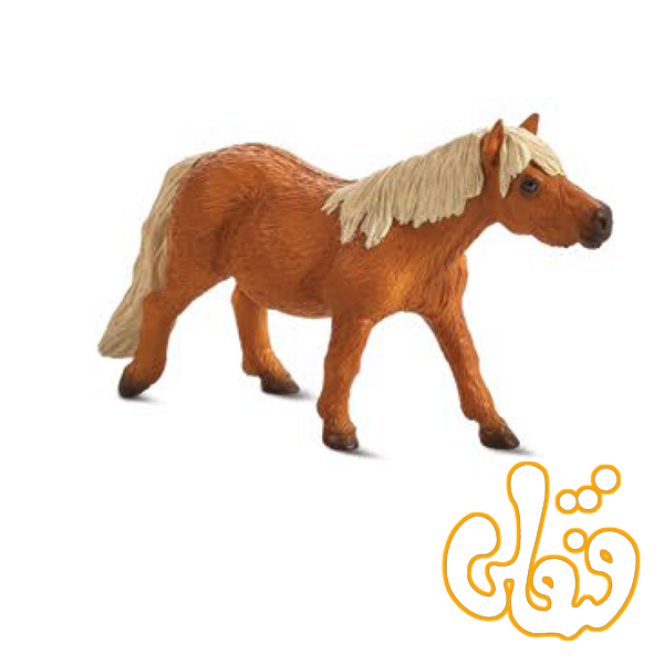 کره اسب شتلند Shetland Pony 387231