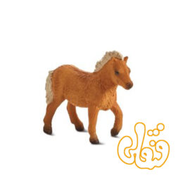 کره اسب کوتاه شتلند Shetland Foal 387232