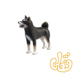 سگ شیبا مشکی Shiba Inu Black 387363